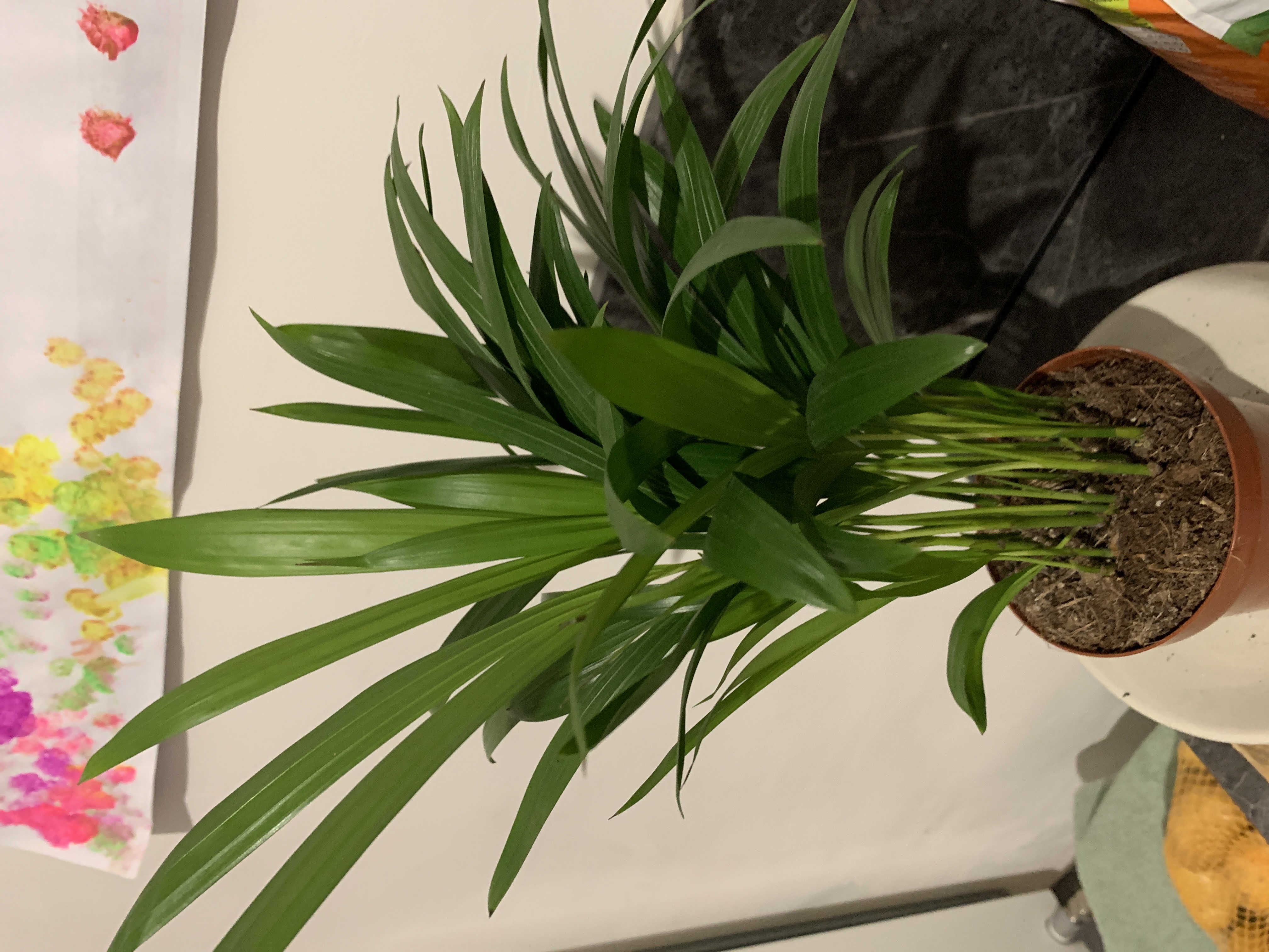 Ce que nos clients en disent — 2